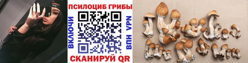 Галлюциногенные грибы MAGIC MUSHROOMS  Сафоново 