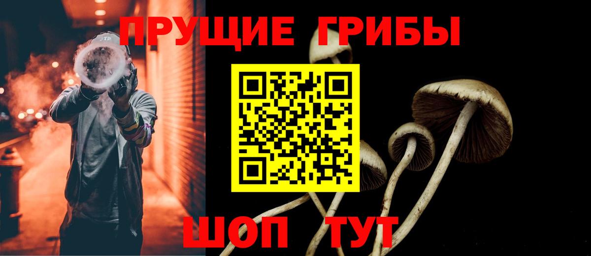 Псилоцибиновые грибы Psilocybe  Галлюциногенные грибы прущие грибы  Вход с VPN  Сафоново 